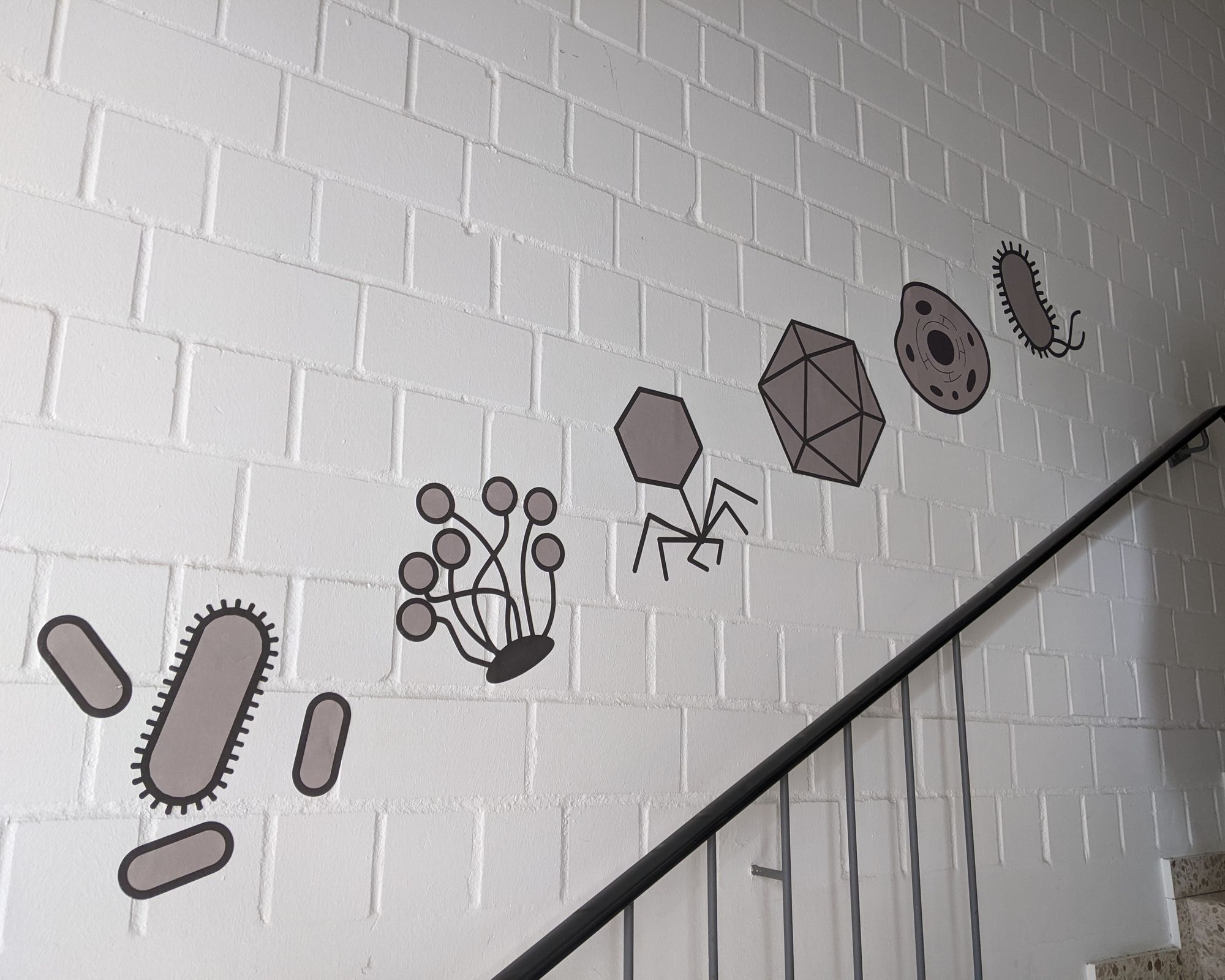An einer weiß gestrichenen Ziegelwand sind über einem Treppengeländer stilisierte Abbildungen verschiedener Mikroorganismen angebracht. Die dritte Abbildung von links zeigt einen sechseckigen „Kopf“ mit einer Art Stiel, von dem sechs abgewinkelte „Beine“ abgehen.