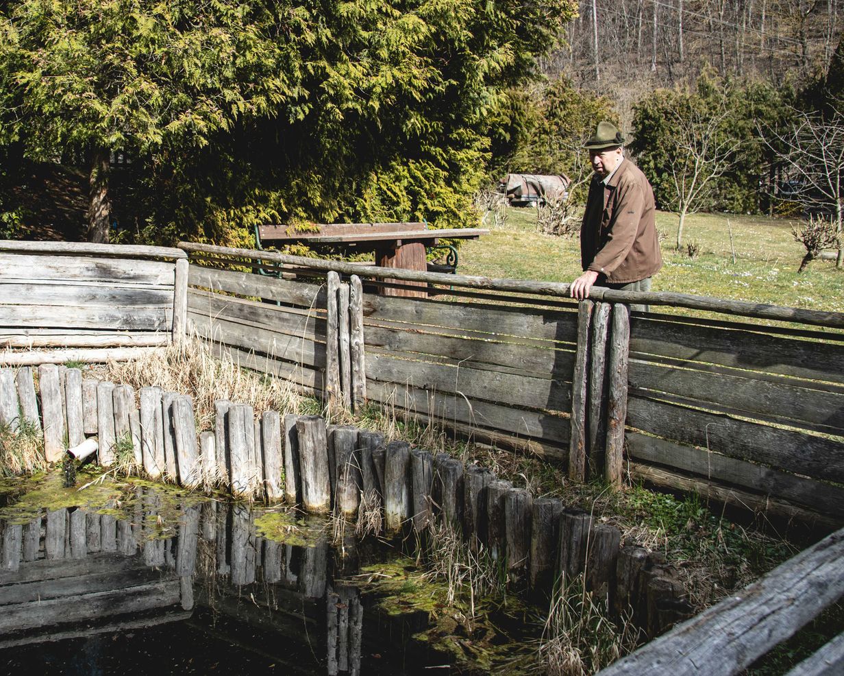 Der Teich is' für die Fisch