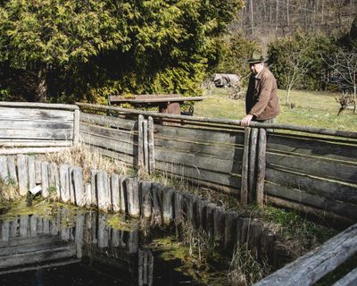 Der Teich is' für die Fisch